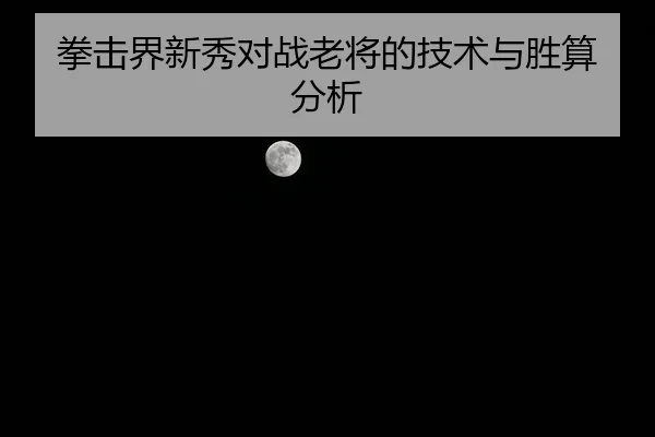 拳击界新秀对战老将的技术与胜算分析